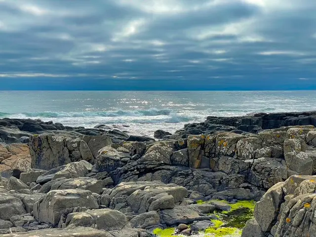 Ancient rock pools at the edge of the sea, Northumberland